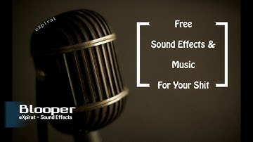 Blooper Beep - Sound Effect - 2017