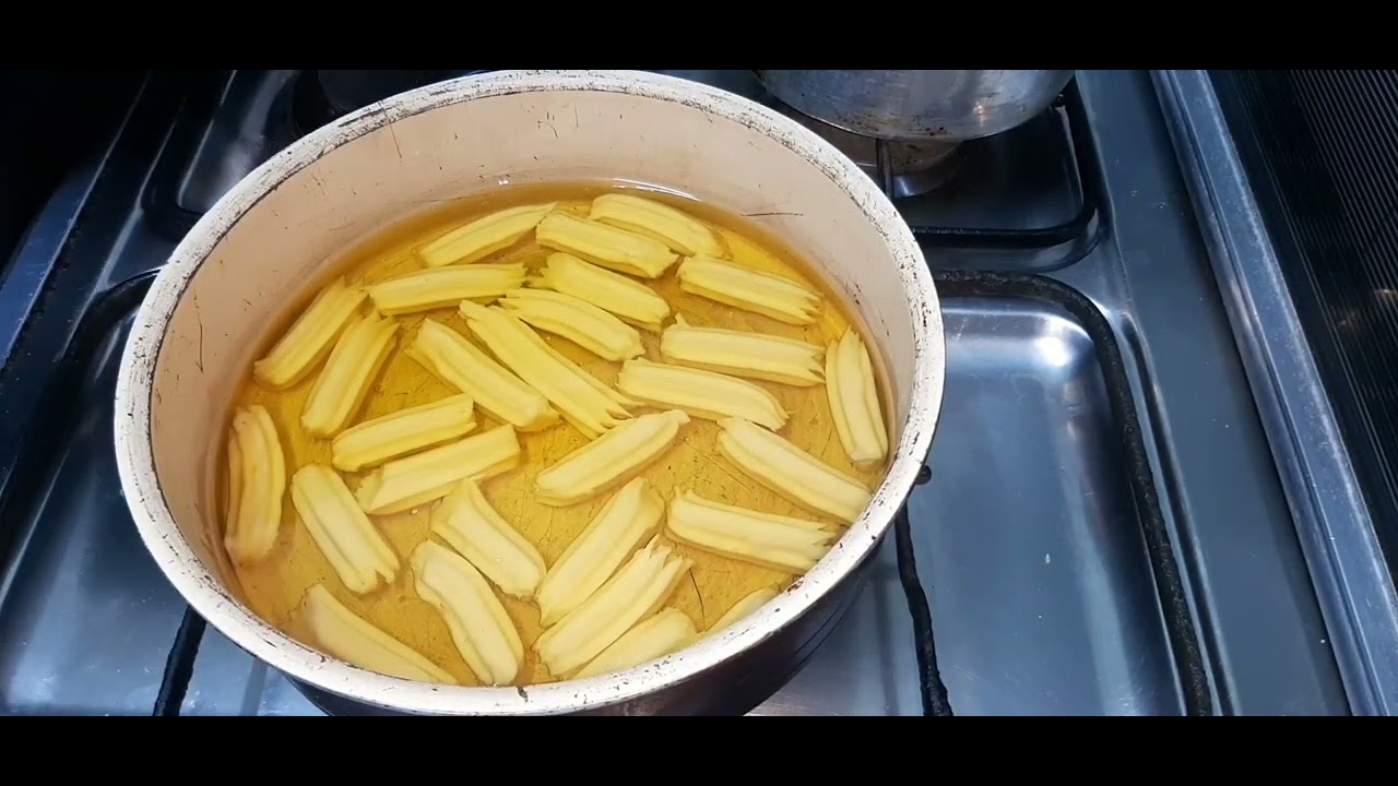 ١٩ فبراير ٢٠٢٦