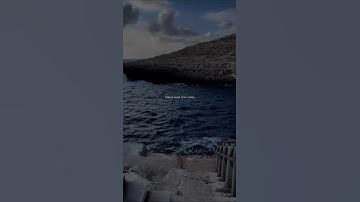 وَمَالنَا أَلا نَتَوكَّلَ عَلى الله #اكسبلور #قران_كريم #دويتو #المصحف #لايك #الرحمن #تلاوة_خاشعة