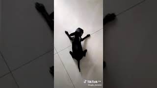 10 De Março De 2021