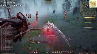 [BDO]th Megu sucsession Ash forest 1268 trash/30min  [blue / no agis]