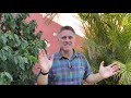 Winter Spanish Immersion in Costa Rica - Week 1