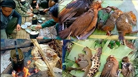 kuv txiv lawv mus yos hav zoov tuas nas thiab qaib qus os 23/12/2021