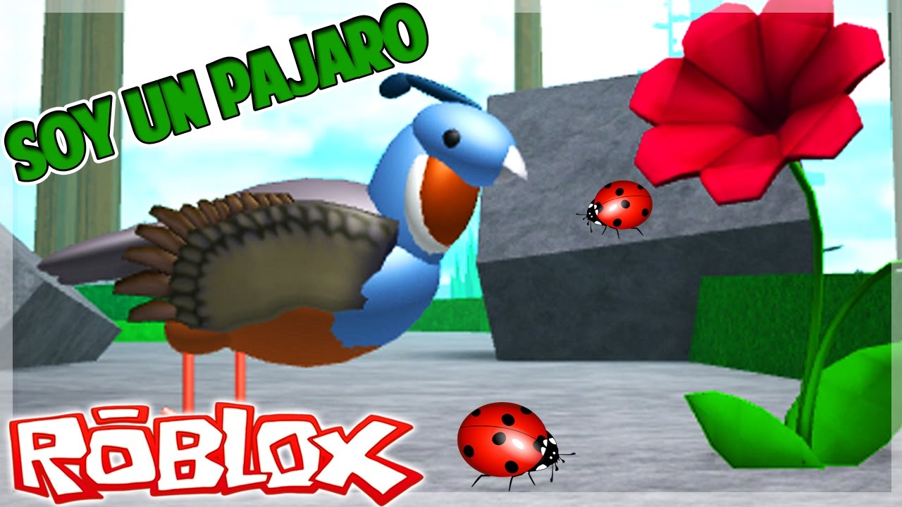 Roblox Volando Voy Volando Vengo Bird Simulator Youtube - roblox volando voy volando vengo bird simulator youtube