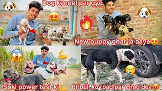 Dog Kennel Par Gye🐶 New Puppy Ghar La Aaye😍|| Pitbull Dog Road Par Ghumta Mila Asa He