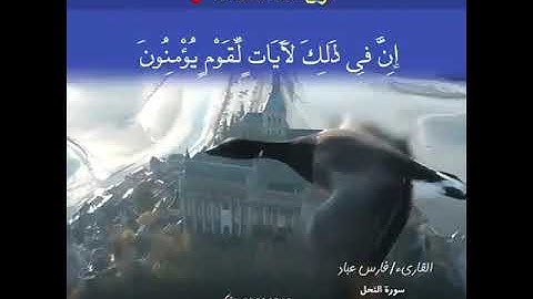 ألم يروا إلى الطير مسخرات في جو السماء ما يمسكهن إلا الله إن في ذلك لآيات لقوم يؤمنون (79) والله جعل