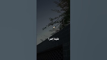 تلاوة خاشعة من سورة البقرة للقارئ علي جابر🤍
