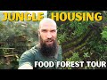 Swales in a food forest syntropic agroforestry  housing development