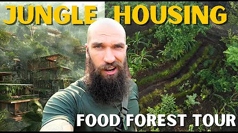 SWALES in a Food Forest (Syntropic Agroforestry + Housing Development)