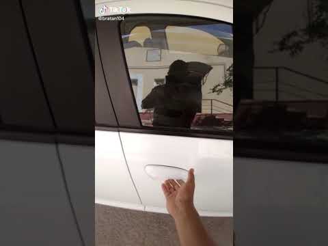 Video: Avtomobil Xizmatini Qanday Ochish Kerak