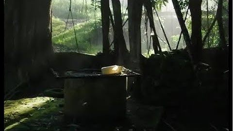 SENDANG KERAMAT DI TENGAH HUTAN