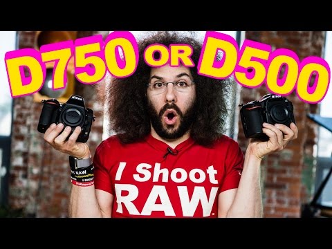 Nikon D750 VS Nikon D500: Which To Buy