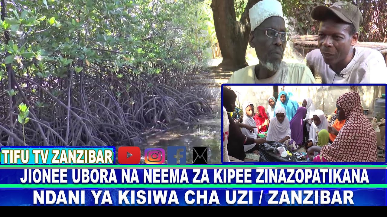🔴JIONEE UBORA NA NEEMA ZA KIPEKEE ZINAZOPATIKANA NDANI YA KISIWA CHA UZI #ZANZIBAR