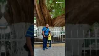 9 De Diciembre De 2022