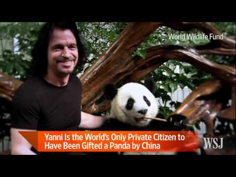 Yanni on His New Album and His Pet Panda
