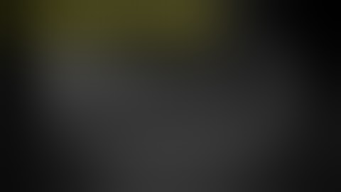 Laparoscopic Pyelolithotomy in an Ectopic Pelvic Kidney