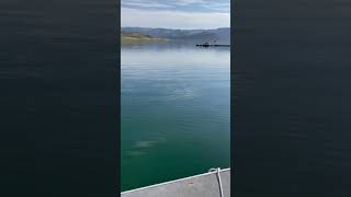 Fishing Colorado