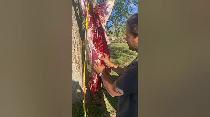 Butchering Deer tips from the Champion Archer Yast...