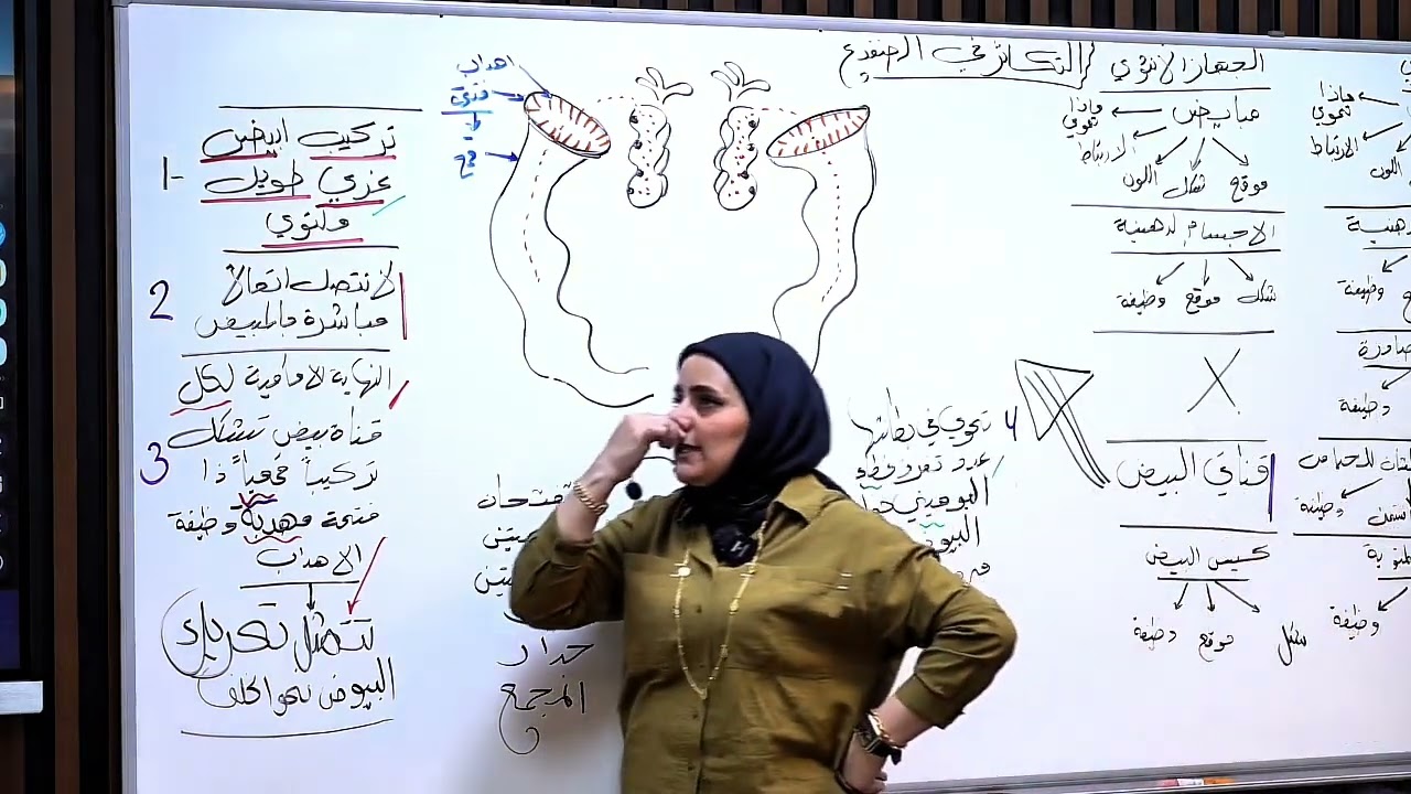 ست نورا الدايني الأحياء الفصل الثالث المحاضره رقم24-تكمله الضفدع