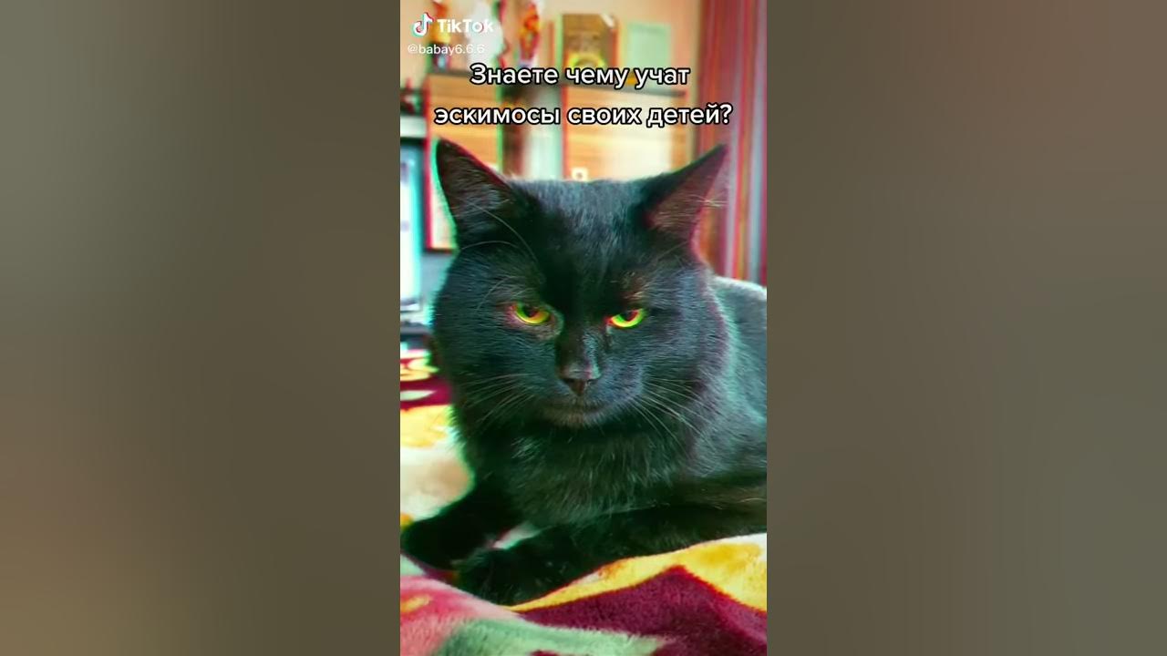 Чёрные шутки 1 серия😎😎😎 - YouTube