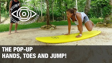 Surf Insight : A Pop Up for beginners and early intermediates . Hands, Toes, Jump !