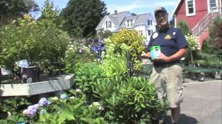 Miracle-Gro Fertilizers and Potting Mix Miracle-Gro Fertilizers and Potting Mix