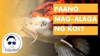 PAANO MAGALAGA NG KOI?