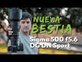 Sigma 500mm f5.6 DG DN OS