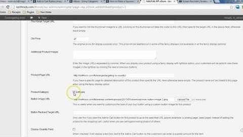 Using Product Categories in WP eStore