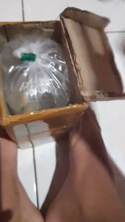 Unboxing channa stewarti mantap2