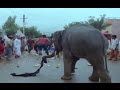 Rajendrudu Gajendrudu Movie || Elephant Save Shop Keeper Action Scene || Rajendra Prasad, Soundarya