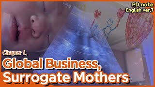 [PD note] Chapter 1. Global Business, Surrogate Mothers
