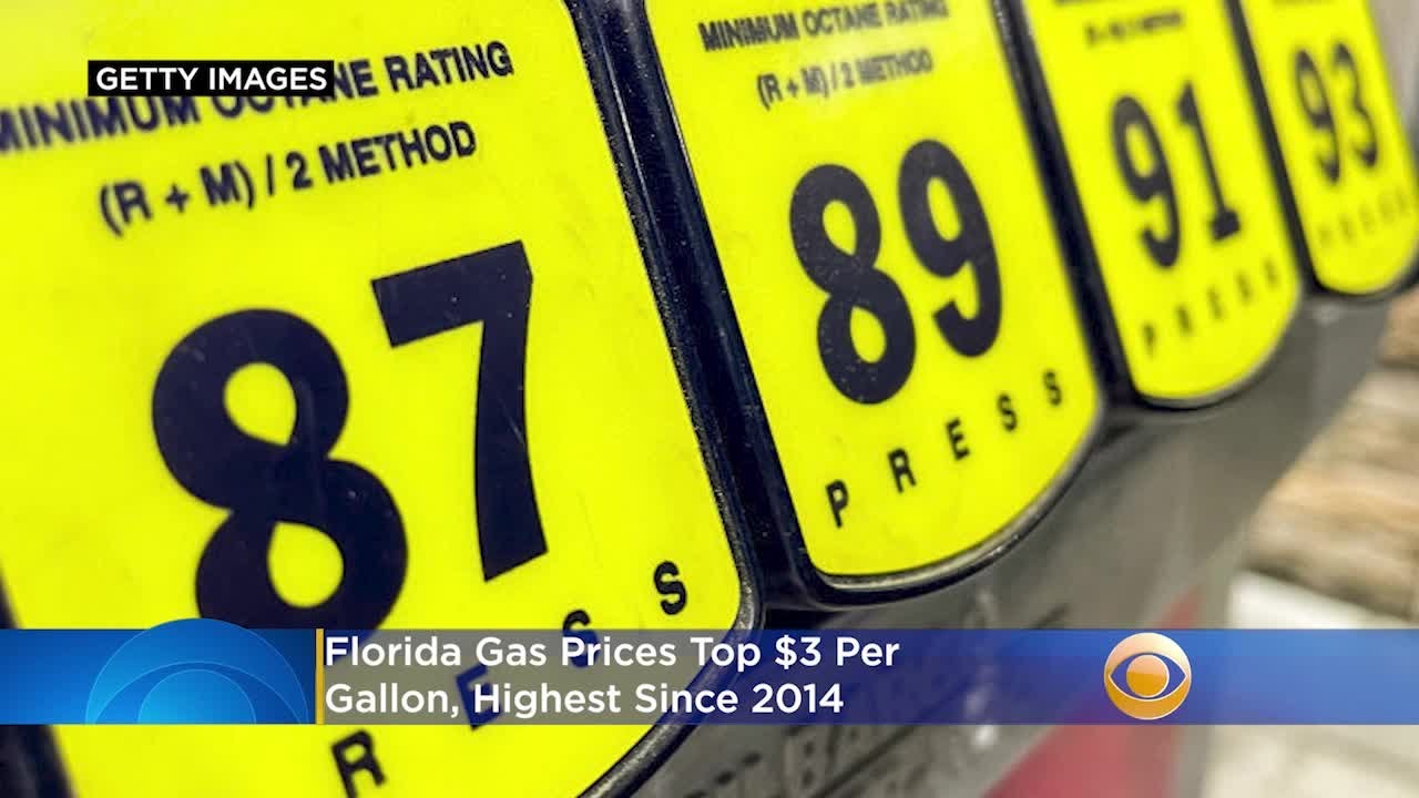 AAA: Florida Gas Prices Top $3 Per Gallon, Highest Since 2014 - YouTube