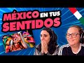 👉 Argentinas REACCIONAN por PRIMERA VEZ a MÉXICO en tus SENTIDOS | ASOMBROSO!😲