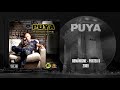 Puya - Doamna si Bagabontul (feat. Alex Sign)