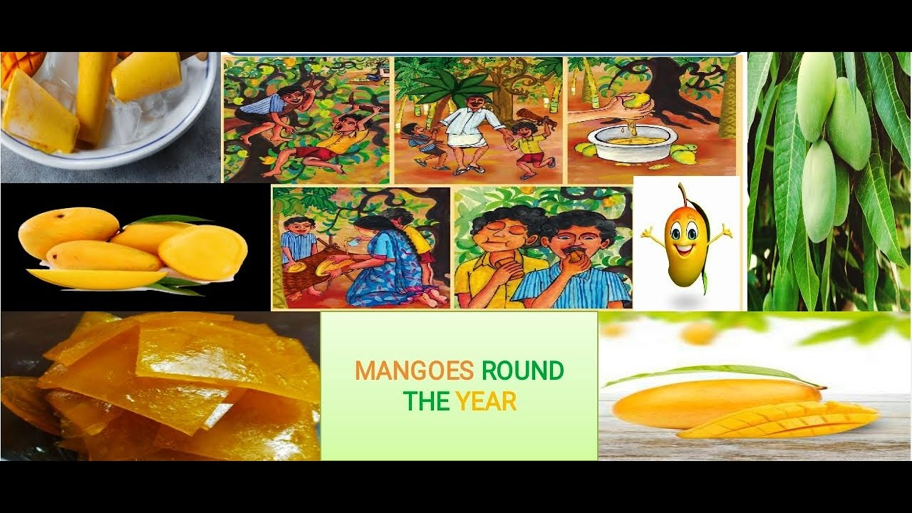 Questions_Answers_of_Mangoes_Round_The_Year MANGOES ROUND THE YEAR