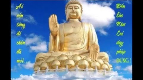 Những câu hỏi về Thiền Tông - đĩa 2 (Đã tái bản, thêm nhiều câu hỏi rất hay)