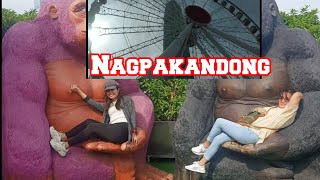 Nagpakandong sa  gorilla | Hongkong Observation wheel |ferriswheel @panofamilyvlog9894