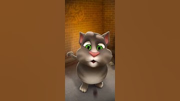 Talking Tom Cat New Video Best Funny Android GamePlay #9215