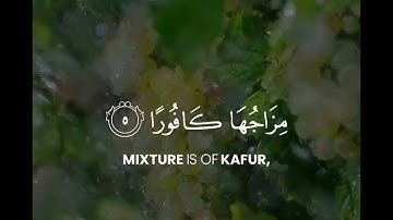 ❞قارئ طارق محمد📜ســـــــــورة الإنسان-