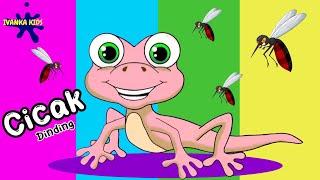 Cicak Cicak Di Dinding - Lagu Anak Anak - Lagu Anak Anak Indonesia