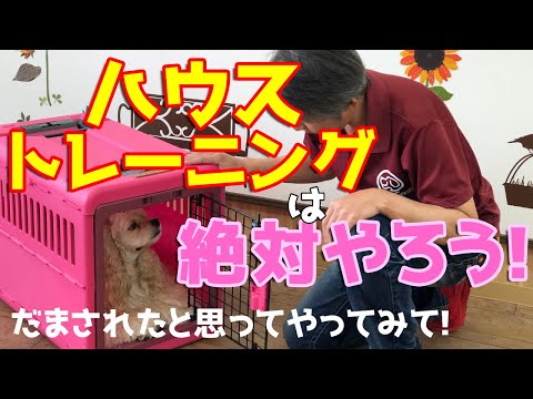 【犬のしつけ】 クレートトレーニング（ハウストレーニング）をしよう！実演しています。