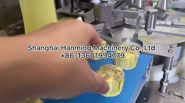 Factory direct supply automatic siomai shaomai shumai siomay sumai siewmai dim sim making machine