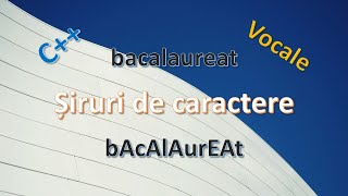 Problemă cu șiruri de caractere în limbajul C++