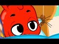 Morphle's Pet Spider - My Magic Pet Morphle | Cartoons For Kids | Morphle TV | Kids Videos