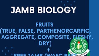 JAMB/WAEC Biology 2027 EP 105 - Fruits (True, False, Parthenocarpic, Aggregate, Composite, Fleshy..) screenshot 4
