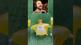 Tails umflat 💀 #funny #iraphahell #satisfying