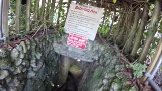 Devils Den - Williston, FL