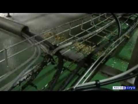 Nettoyage cryogénique de chemins de cables dans une friterie industrielle
