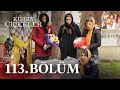 Kırgın Çiçekler 113. Bölüm